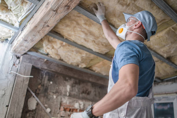 Best Commercial Insulation in Sullivan, IL